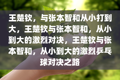 王楚钦，与张本智和从小打到大，王楚钦与张本智和，从小到大的激烈对决，王楚钦与张本智和，从小到大的激烈乒今晚必出三肖2025_2025新澳门精准免费提供·精确判断乓球对决之路
