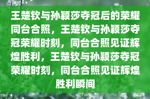 王楚钦与孙颖莎夺冠后的荣耀同台合照，王楚钦与孙颖莎夺冠荣耀时刻，同台合照见证辉煌胜利，王楚钦与孙颖莎夺冠荣耀时刻，同台合照见证辉煌胜利瞬间