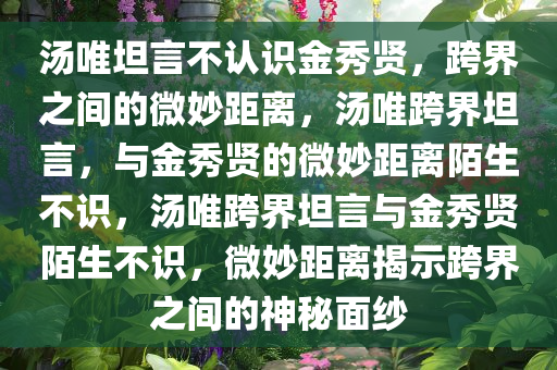 汤唯坦言不认识金秀贤，跨界之间的微妙距离，汤唯跨界坦言，与金秀贤的微妙距离陌生不识，汤唯跨界坦言与金秀贤陌生不识，微妙距离揭示跨界之间的神秘面纱