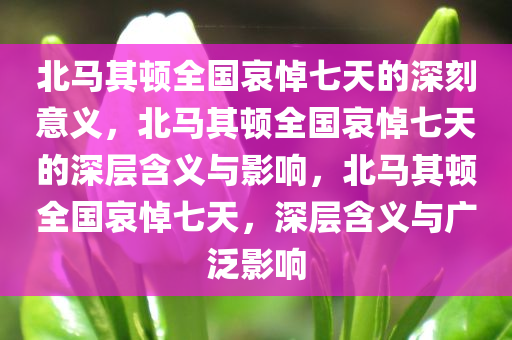 北马其顿全国哀悼七天的深刻意义，北马其顿全国哀悼七天的深层含义与影响，北马其顿全国哀悼七天，深层含义与广泛影响