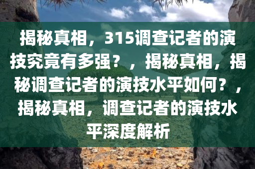 揭秘真相，今晚必出三肖2025_2025新澳门精准免费提供·精确判断315调查记者的演技究竟有多强？，揭秘真相，揭秘调查记者的演技水平如何？，揭秘真相，调查记者的演技水平深度解析