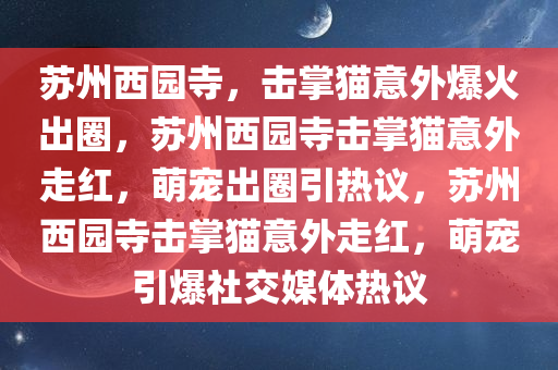 苏州西园寺，击掌猫意外爆火出圈，苏州西园寺击掌猫意外走红，萌宠出圈引热议，苏州西园寺击掌猫意外走红，萌宠引爆社交媒体热议