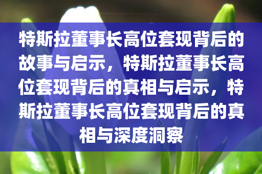 特斯拉董事长高位套现背后的故事与启示，特斯拉董事长高位套现背后的真相与启示，特斯拉董事长高位套现背后的真相与深度洞察