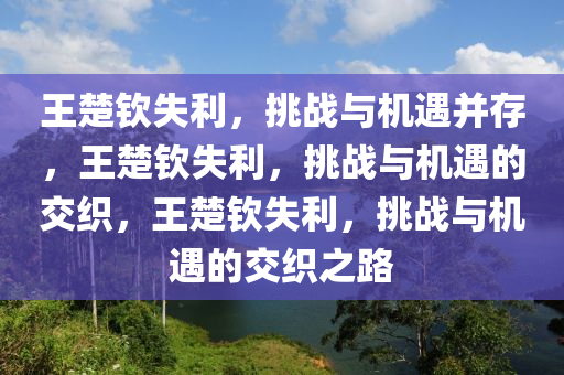 王楚钦失利，挑战与机遇并存，王楚钦失利，挑战与机遇的交织，王楚钦失利，挑战与机遇的交织之路