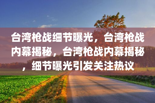 台湾枪战细节曝光，台湾枪战内幕揭秘，台湾枪战内幕揭秘，细节曝光引发关注热议