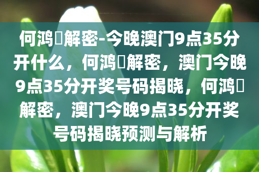 何鸿燊解密-今晚澳门9点35分开什么，何鸿燊解密，澳门今晚9点35分开奖号码揭晓，何鸿燊解密，澳门今晚9点35分开奖号码揭晓预测与解析