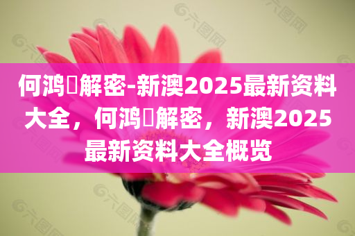 何鸿燊解密-新澳2025最新资料大全，何鸿燊解密，新澳2025最新资料大全概览