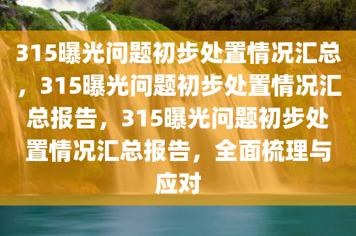 315曝光问题初步处置情况汇总，315曝光问题初步处置情况汇总报告，315曝光问题初步处置情况汇总报告，全面梳理与应对