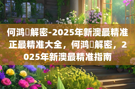 何鸿燊解密-2025年新澳最精准正最精准大全，何鸿燊解密，2025年新澳最精准指南