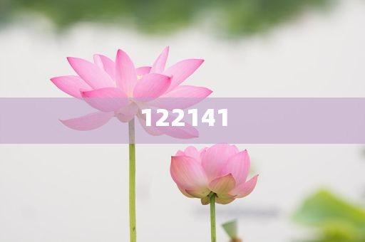 白宫争吵关键人物万斯是啥来头，白宫纷争揭秘，关键人物万斯的背景与来头，白宫纷争揭秘，关键人物万斯的背景与来头揭秘