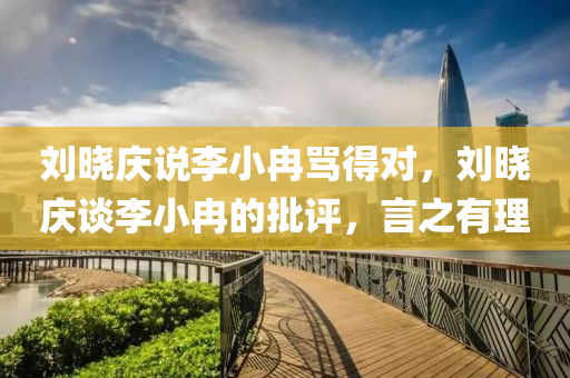 刘晓庆说李小冉骂得对，刘晓庆谈李小冉的批评，言之有理