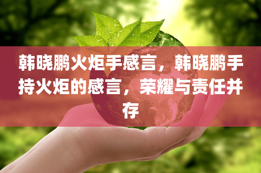 韩晓鹏火炬手感言，韩晓鹏手持火炬的感言，荣耀与责任并存