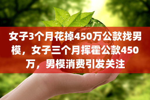 女子3个月花掉450万公款找男模，女子三个月挥霍公款450万，男模消费引发关注