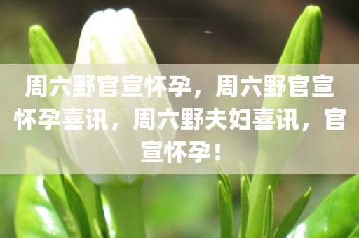周六野官宣怀孕，周六野官宣怀孕喜讯，周六野夫妇喜讯，官宣怀孕！