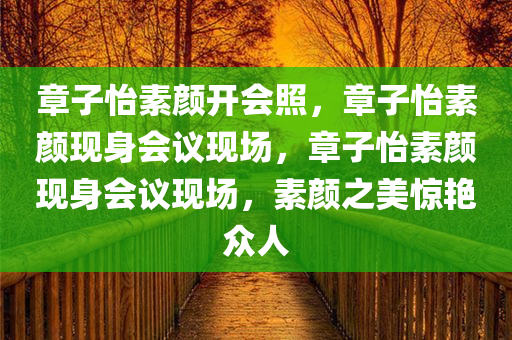 章子怡素颜开会照，章子怡素颜现身会议现场，章子怡素颜现身会议现场，素颜之美惊艳众人