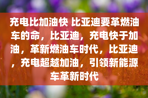 充电比加油快 比亚迪要革燃油车的命，比亚迪，充电快于加油，革新燃油车时代，比亚迪，充电超越加油，引领新能源车革新时代