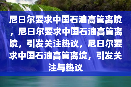 尼日尔要求中国石油高管离境，尼日尔要求中国石油高管离境，引发关注热议，尼日尔要求中国石油高管离境，引发关注与热议
