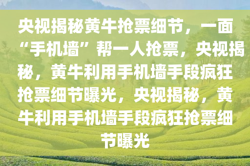 央视揭秘黄牛抢票细节，一面“手机墙”帮一人抢票，央视揭秘，黄牛利用手机墙手段疯狂抢票细节曝光，央视揭秘，黄牛利用手机墙手段疯狂抢票细节曝光