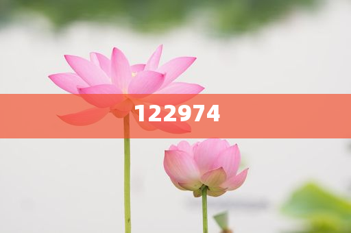 2025新奥正版资料免费提供，2025新奥正版资料免费分享，揭秘新奥，独家正版资料免费分享与解读