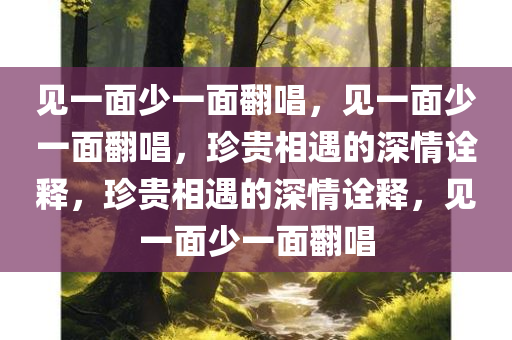 见一面少一面翻唱，见一面少一面翻唱，珍贵相遇的深情诠释，珍贵相遇的深情诠释，见一面少一面翻唱