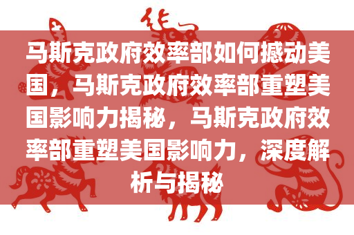 马斯克政府效率部如何撼动美国，马斯克政府效率部重塑美国影响力揭秘，马斯克政府效率部重塑美国影响力，深度解析与揭秘