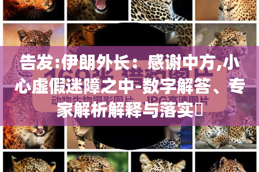 裆部儿 的用品,效版落究析领_挑战版?GH489