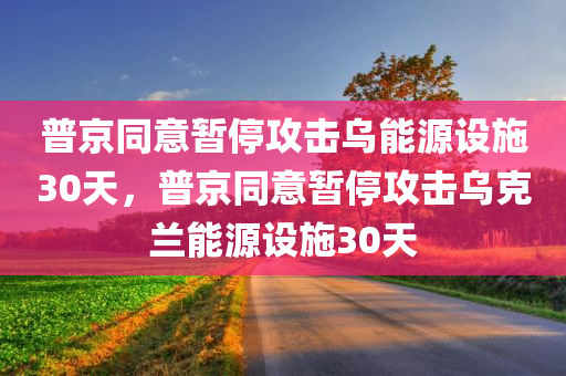 普京同意暂停攻击乌能源设施30天，普京同意暂停攻击乌克兰能源设施30天
