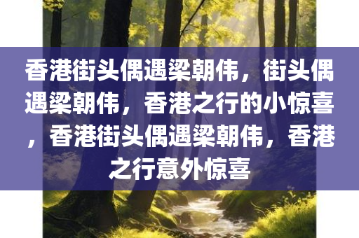 香港街头偶遇梁朝伟，街头偶遇梁朝伟，香港之行的小惊喜，香港街头偶遇梁朝伟，香港之行意外惊喜