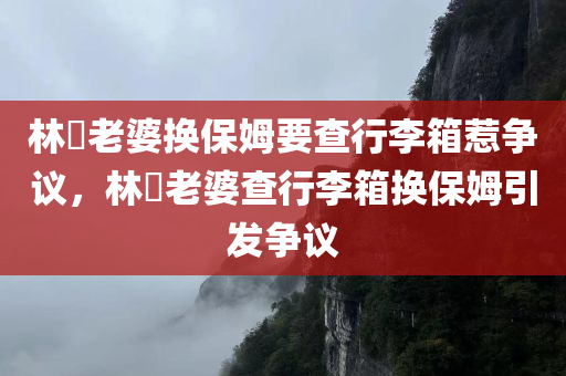 林峯老婆换保姆要查行李箱惹争议，林峯老婆查行李箱换保姆引发争议