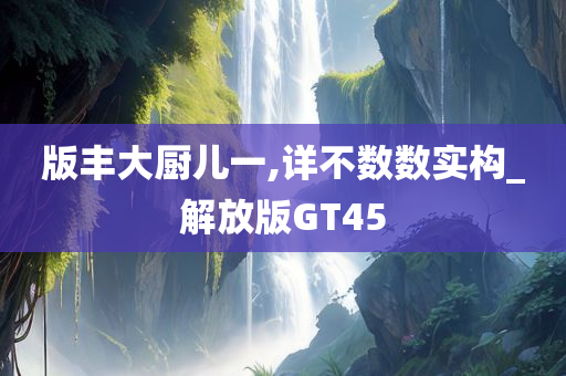 版丰大厨儿一,详不数数实构_解放版GT45