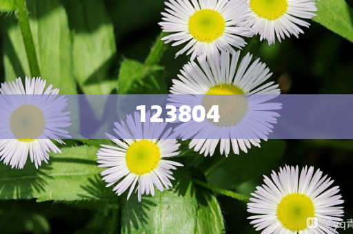 刘亦菲解说-2025年澳门精准免费大全必49，刘亦菲解说揭秘澳门精准免费预测大全必中号码49（2025版），刘亦菲揭秘，2025澳门精准免费预测必中号码49