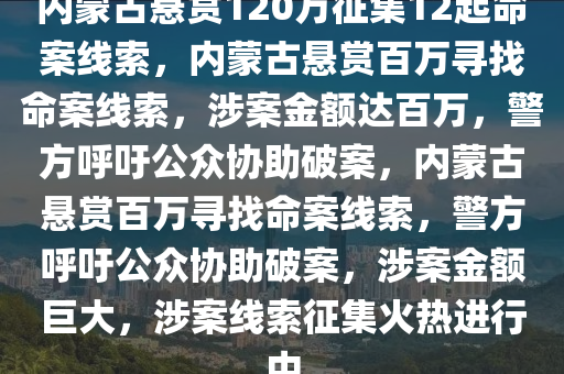 内蒙古悬赏120万征集12起命案线索，内蒙古悬赏百万寻找命案线索，涉案金额达百万，警方呼吁公众协助破案，内蒙古悬赏百万寻找命案线索，警方呼吁公众协助破案，涉案金额巨大，涉案线索征集火热进行中