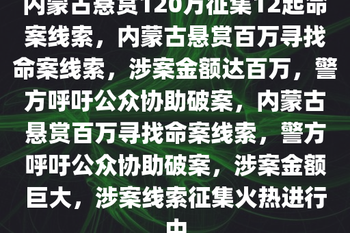 内蒙古悬赏120万征集12起命案线索，内蒙古悬赏百万寻找命案线索，涉案金额达百万，警方呼吁公众协助破案，内蒙古悬赏百万寻找命案线索，警方呼吁公众协助破案，涉案金额巨大，涉案线索征集火热进行中
