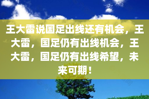 王大雷说国足出线还有机会，王大雷，国足仍有出线机会，王大雷，国足仍有出线希望，未来可期！
