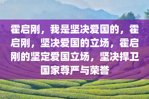 霍启刚，我是坚决爱国的，霍启刚，坚决爱国的立场，霍启刚的坚定爱国立场，坚决捍卫国家尊严与荣誉
