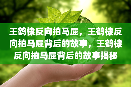 王鹤棣反向拍马屁，王鹤棣反向拍马屁背后的故事，王鹤棣反向拍马屁背后的故事揭秘