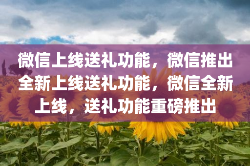 微信上线送礼功能，微信推出全新上线送礼功能，微信全新上线，送礼功能重磅推出