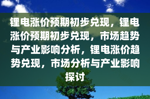 锂电涨价预期初步兑现，锂电涨价预期初步兑现，市场趋势与产业影响分析，锂电涨价趋势兑现，市场分析与产业影响探讨