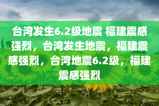 台湾发生6.2级地震 福建震感强烈，台湾发生地震，福建震感强烈，台湾地震6.2级，福建震感强烈