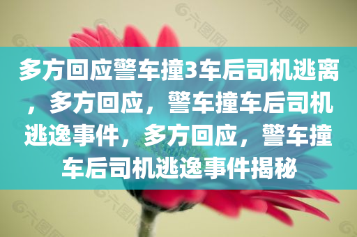多方回应警车撞3车后司机逃离，多方回应，警车撞车后司机逃逸事件，多方回应，警车撞车后司机逃逸事件揭秘