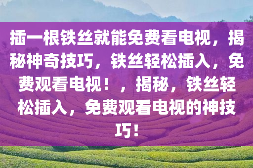 插一根铁丝就能免费看电视，揭秘神奇技巧，铁丝轻松插入，免费观看电视！，揭秘，铁丝轻松插入，免费观看电视的神技巧！