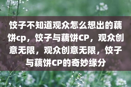 饺子不知道观众怎么想出的藕饼cp，饺子与藕饼CP，观众创意无限，观众创意无限，饺子与藕饼CP的奇妙缘分