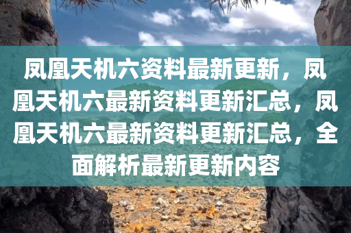 凤凰天机六资料最新更新，凤凰天机六最新资料更新汇总，凤凰天机六最新资料更新汇总，全面解析最新更新内容