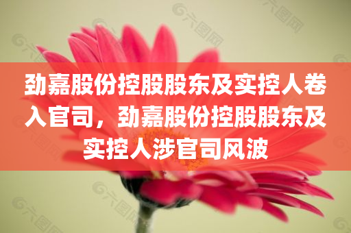 劲嘉股份控股股东及实控人卷入官司，劲嘉股份控股股东及实控人涉官司风波