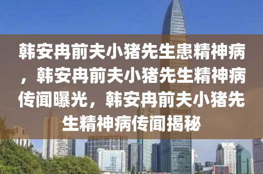 韩安冉前夫小猪先生患精神病，韩安冉前夫小猪先生精神病传闻曝光，韩安冉前夫小猪先生精神病传闻揭秘