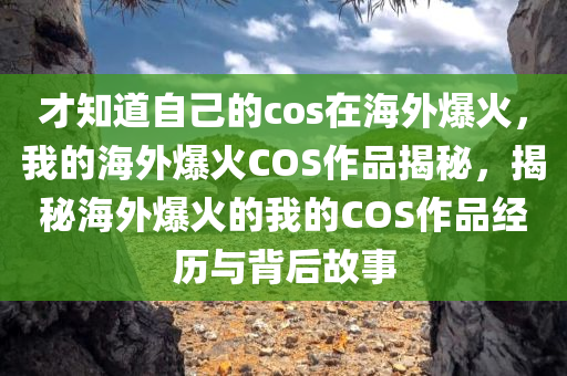 才知道自己的cos在海外爆火，我的海外爆火COS作品揭秘，揭秘海外爆火的我的COS作品经历与背后故事