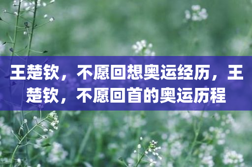 王楚钦，不愿回想奥运经历，王楚钦，不愿回首的奥运历程