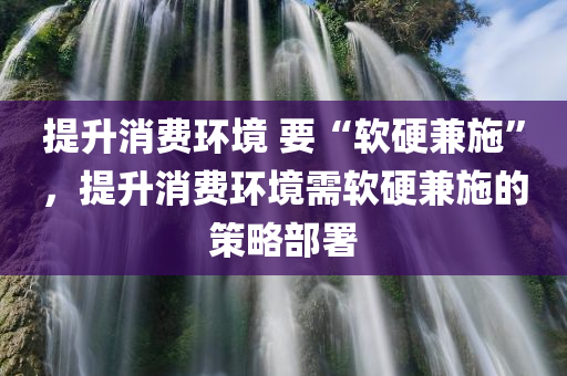 提升消费环境 要“软硬兼施”，提升消费环境需软硬兼施的策略部署