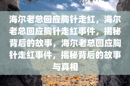 海尔老总回应胸针走红，海尔老总回应胸针走红事件，揭秘背后的故事，海尔老总回应胸针走红事件，揭秘背后的故事与真相