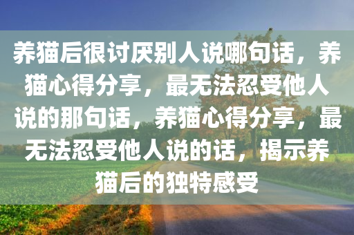 养猫后很讨厌别人说哪句话，养猫心得分享，最无法忍受他人说的那句话，养猫心得分享，最无法忍受他人说的话，揭示养猫后的独特感受